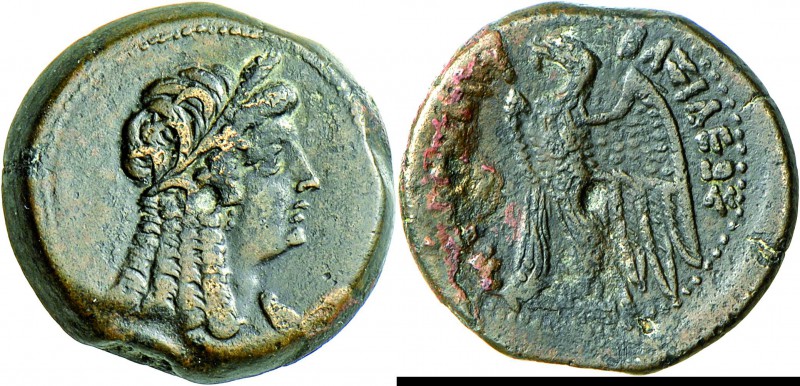 Ägypten - Ptolemäer: Ptolemaios VI. Philometor 180-145 v. Chr.: Bronzemünze,Vs: ...