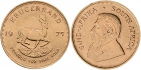 Südafrika: Krügerrand 1975, 1 Unze (31,1 g), KM# 73, Friedberg B1. 33,93 g, 917/1000 Gold, kleine Randfehler, vorzüglich.
 [plus 0 % VAT]
