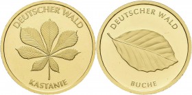 Deutschland: 6 x 20 Euro Gold Serie Deutscher Wald 2010 - 2015 komplett. Eiche (F), Buche (F), Fichte (J), Kiefer (D), Kastanie (A) und Linde (G). Ori...