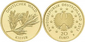 Deutschland: 5 x 20 Euro 2013 Kiefer (A,D,F,G,J), Serie Deutscher Wald. Jaeger 581. Jede Münze wiegt 3,89 g, 999/1000 Gold, in Originalkapsel mit Zert...