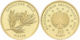 Deutschland: 20 Euro 2013 Kiefer F - Stuttgart. Serie Deutscher Wald. Jaeger 581. 3,89 g, 999/1000 Gold, in Originalkapsel mit Zertifikat, stempelglan...