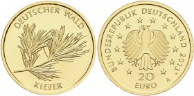 Deutschland: 20 Euro 2013 Kiefer A - Berlin. Serie Deutscher Wald. Jaeger 581. 3,89 g, 999/1000 Gold, in Originalkapsel mit Zertifikat, stempelglanz....