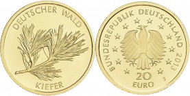 Deutschland: Lot 4 Münzen: 20 Euro 2013 Kiefer J - Hamburg (alle 4). Serie Deutscher Wald. Jaeger 581. Jede Münze wiegt 3,89 g, 999/1000 Gold, in Orig...