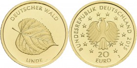 Deutschland: 5 x 20 Euro 2015 Linde (A,D,F,G,J) letzte Ausgabe aus der Serie Deutscher Wald. Jaeger 598. Jede Münze wiegt 3,89 g 999/1000 Gold, in Ori...