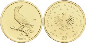 Deutschland: 20 Euro 2017 (D) Pirol aus der Serie Heimische Vögel. Original verkapselt, mit Zertifikat. 1/8 OZ (3,89g) 999/1000 Gold.
 [plus 0 % VAT]...