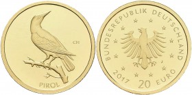 Deutschland: 20 Euro 2017 J Pirol aus der Serie Heimische Vögel, 3,89 g (1/8 OZ) 999/1000 Gold, mit Zertifikat, stempelglanz.
 [plus 0 % VAT]