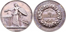 Medaillen Deutschland: Hamburg: Lot 2 Stück, Bronzene Prämienmedaille o.J. (Gravur 1910) von Karl Schwenzer, der Deutschen Landwirtschafts-Gesellschaf...