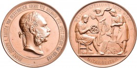 Medaillen Deutschland: Haus Habsburg, Franz Joseph I. 1848-1916: Lot 2 Stück, Bronzene Preismedaille 1873 der Wiener Weltausstellung, von Karl Schwenz...