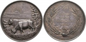 Medaillen alle Welt: Finnland: Lot 7 Landwirtschaftsmedaillen, 2 x Silber von C. Jahn je 54 mm und 5 x Bronze 54,4 mm (v. C. Jahn), 3 unterschiedliche...
