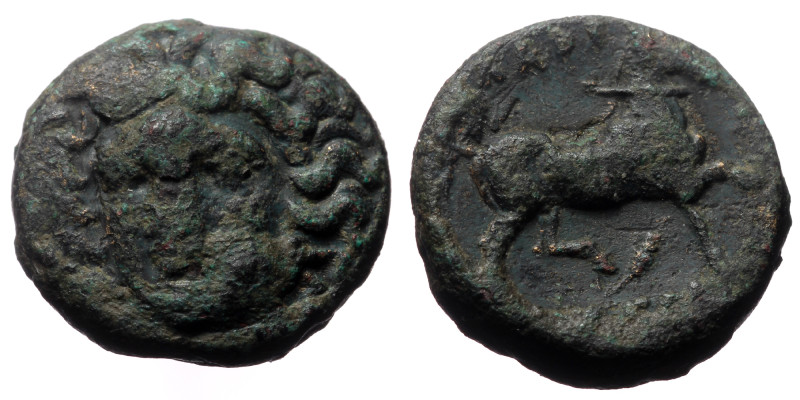 Thessaly, Larissa, AE Tetrachalkon, (Bronze, 9.28 g 19mm), Circa 356-337 BC. 
Ob...