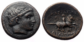 Kingdom of Macedon, Philip III Arrhidaios, AE,(Bronze, 4.48 g 19mm). 323-317 BC. Miletos mint. 
Obv: Diademed head right 
Rev: Horseman riding right; ...