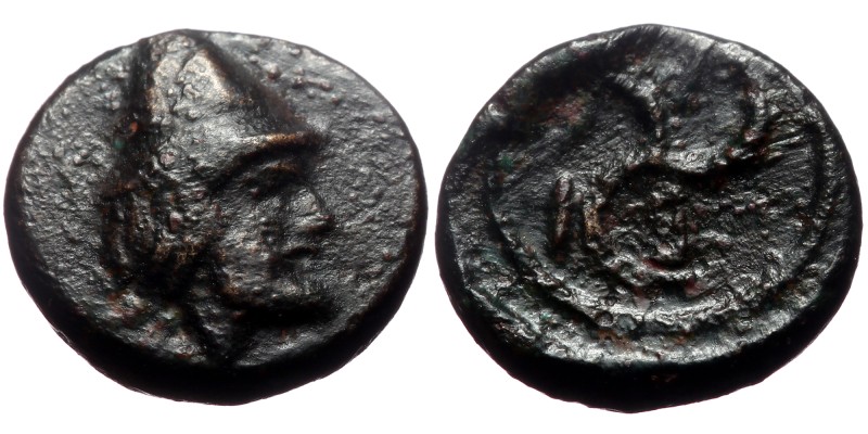 Troas, Birytis, Ae,(Bronze, 0.96 g 10mm), 4th-3rd centuries BC.
Obv: Bearded he...