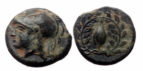 Aeolis, Elaia, AE, (Bronze, 1.29 g 11mm), Circa 4th Century BC.
Obv: Helmeted head of Athena left.
Rev: Ε – Λ, Grain ear within olive wreath.
Ref: Cf....