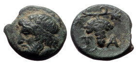 Aeolis, Temnos. Ae,(Bronze, 1.53 g 12mm), 4th century BC.
Obv: Laureate head of Zeus left.
Rev: T - A. Grape bunch on vine.
Ref: BMC 1; Asia Minor Coi...