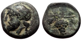 Aeolis, Temnos. Ae,(Bronze,1.22 g 9 mm), 4th century BC.
Obv: Laureate head of Zeus left.
Rev: [T-A], Grape bunch on vine.
Ref: BMC 1; Asia Minor C...