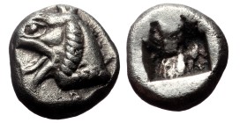Ionia, Phokaia, AR Diobol,(Silver, 1.59 g 10mm), Late 6th century BC.
Obv: Head of griffin left.
Rev: Rough incuse square.
Ref: SNG von Aulock 2116...