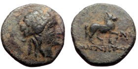 Ionia, Magnesia ad Maeandrum. Ae,(Bronze, 4.03 g 17mm), Circa 190-0 BC.
Obv: Laureate head of Apollo right.
Rev: MAΓΝΗΤΩΝ. Horse standing right, for...