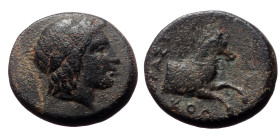 Ionia, Kolophon,AE,(Bronze, 2.20 g 13mm), Circa 360-340 BC. Pasik, magistrate
Obv: Laureate head of Apollo to right 
Rev: ΠΑΣΙΚ KOΛ, forepart of horse...