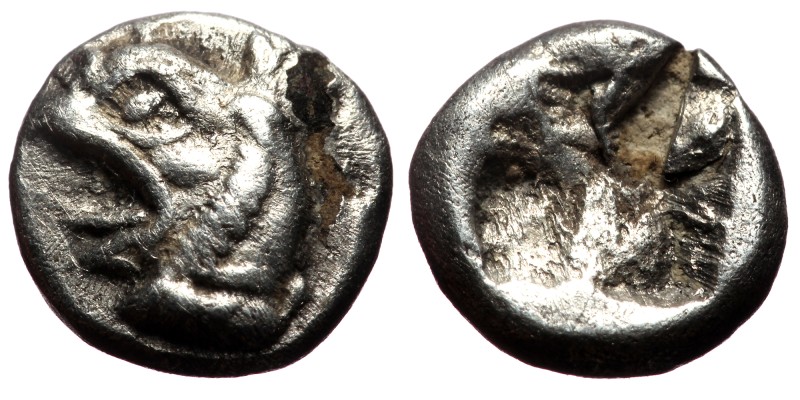 Ionia, Phokaia, AR Fourrèe Obol, (Silver, 0.69 g 8 mm), Circa 521-478 BC.
Obv: ...