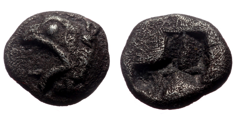 Ionia. Phokaia AR Obol (Silver, 0.67g, 8mm) ca 521-478 BC
Obv: Head of griffin l...