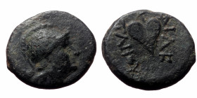 Kings of Pergamon, Philetairos, AE, (Bronze, 2.30 g 14mm), 282-263 BC.
Obv: Helmeted head of Athena right.
Rev: ΦΙΛΕΤΑΙΡΟΥ, Ivy leaf.
Ref: SNG BnF 167...