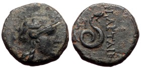 Mysia, Pergamon, Philetairos,AE, (Bronze, 3.87 g 16mm),Circa 200-133 BC.
Obv: Helmeted head of Athena right.
Rev: ΦΙΛΕΤΑΙΡΟΥ. Coiled snake, head sta...