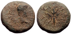 Lydia. Philadelphia. Tiberius. AE. (Bronze, 3.29 g. 16mm.) 14-37 AD.
Obv: ΤΙΒΕΡΙΟΝ [ϹƐΒΑϹΤΟΝ]. Bare head of Tiberius, right.
Rev: [ΝΕΟΚΑΙϹΑ]ΡΕΙϹ. Wi...