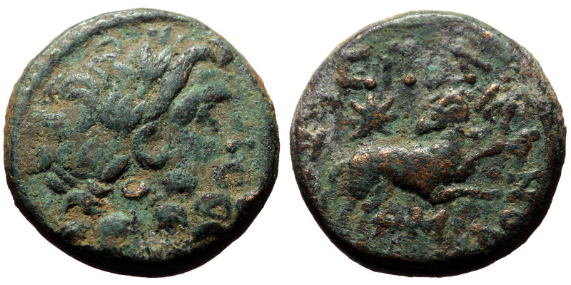 Seleucis and Pieria. Antioch. Pseudo-autonomous, Time of Augustus. AE. (Bronze, ...