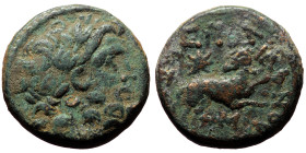 Seleucis and Pieria. Antioch. Pseudo-autonomous, Time of Augustus. AE. (Bronze, 7.23 g. 18mm.) 27 BC-14 AD.
Obv: Laureate head of Zeus right.
Rev: Ram...