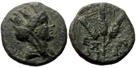 Unreaserched Roman Provincial AE coin (Bronze, 3.45g, 16mm)
