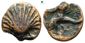 Calabria. Tarentum circa 250 BC. Bronze Æ