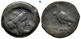 Bruttium. Lokroi Epizephyrioi circa 350-325 BC. Bronze Æ