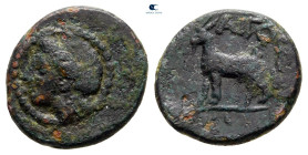 Thrace. Aigospotamoi circa 400-300 BC. Bronze Æ