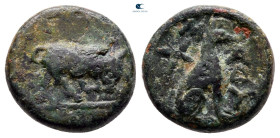 Thrace. Madytos circa 350-300 BC. Bronze Æ