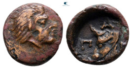 The Tauric Chersonese. Pantikapaion circa 300 BC. Bronze Æ