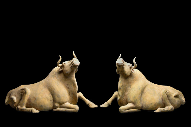 PAIR OF LARGE CHINESE TANG DYNASTY POTTERY OXEN - TL TESTED

Ca. 618-907 AD. ...