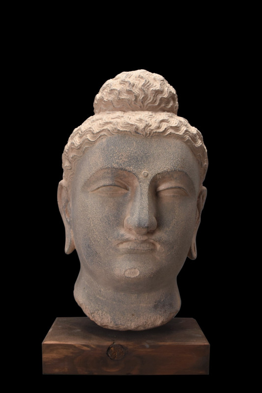 GANDHARAN SCHIST OVER THE LIFESIZE HEAD OF BUDDHA
Ca. 100-200 AD. 
A schist st...