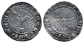Fernando e Isabel (1474-1504). 1/2 real. Burgos. (Cal-185). Ag. 1,95 g. Venera en leyenda de anverso. Pequeña grieta. MBC-. Est...50,00.
