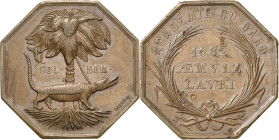Frankreich
Napoleon III. 1852-1870 Achteckige Bronzemedaille 1862 (Caqué) Prämie der Akademie in Nimes. Krokodil an Palme gekettet / 3 Zeilen im Palm...