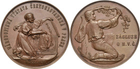 Medaillen
 Bronzemedaille 1895 (Santrucek/Pichl) Verdienstmedaille der Tschechoslowakischen Volkskunde - Ausstellung. Frau kniet vor Truhe mit Kleid ...