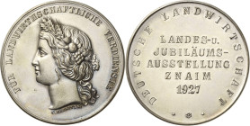 Medaillen
 Versilberte Bronzemedaille 1927 (Radnitzki) Verdienstmedaille der Landwirtschaftsausstellung in Znaim/Mähren. Kopf der Ceres nach links / ...