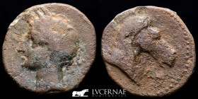 Cartagonova Bronze calco 6,97 g, 24 mm Hispania 220-215 B.C. gVF