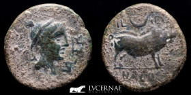 Ancient Hispania Halos Bronze As 13,32 g., 30 mm. Osuna, Seville 50 B.C. nEF.
