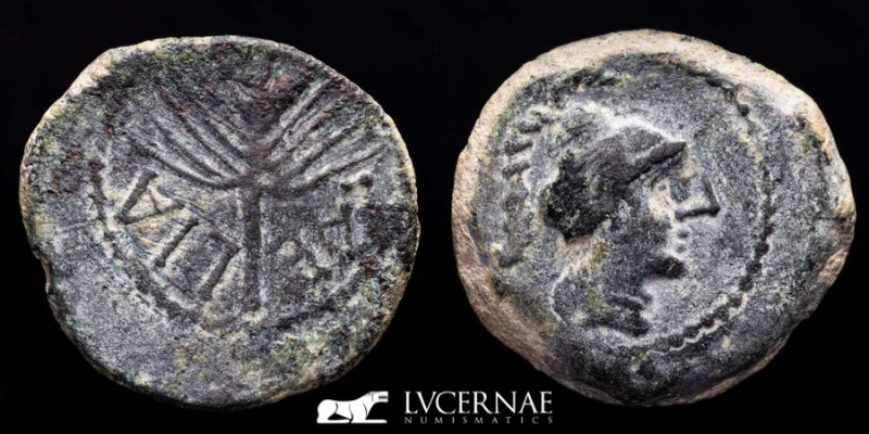 Ancient Hispania, Laelia ( Olivares. Sevilla)
Bronze Semis (11.04 g., 24 mm..) 5...