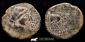 Orippo. bronze As 6.68 g. 26 mm. Dos Hermanas, Sevilla 50 BC Good very fine