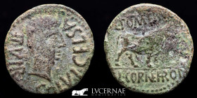 Augustus Bronze As 10.52 g, 29 mm Celsa (Velilla del Ebro, Zaragoza) 2-14 AD gVF