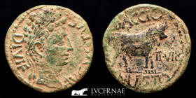 Augustus Bronze As 11.40 g. 28 mm. Celsa (Zaragoza) 2 - 14 A.D gVF