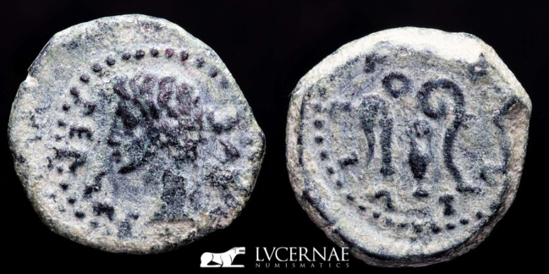 Roman Empire - Augustus (27 B.C. - 14 A.D.) bronze quadrans (1.78 g. 16 mm.) / (...