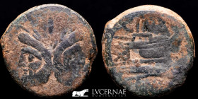 L. Cornelius Cinna Bronze As 27.13 g, 29 mm Rome 169-158 B.C. Good very fine (MBC)