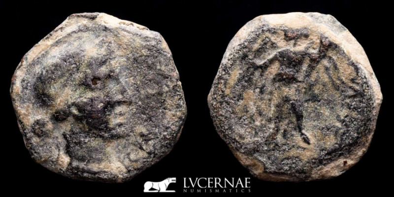 Roman Republic - Hispania. Corduba, bronze semis (5,82 g, 19 mm), minted between...